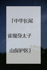 中华长尾雀现身太子山保护区