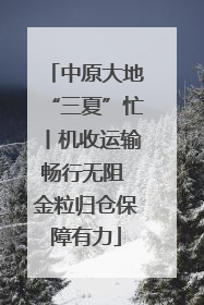 中原大地“三夏”忙丨机收运输畅行无阻 金粒归仓保障有力