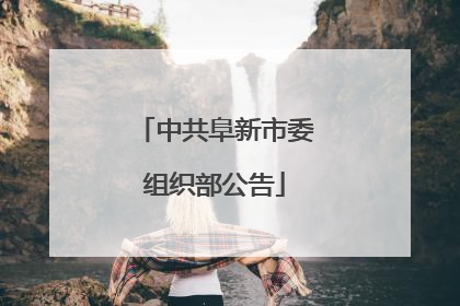 中共阜新市委组织部公告