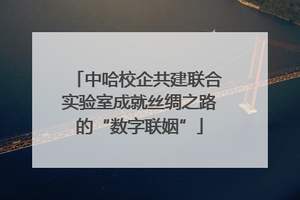 中哈校企共建联合实验室成就丝绸之路的“数字联姻”