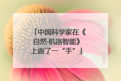中国科学家在《自然·机器智能》上露了一“手”