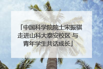 中国科学院院士宋振骐走进山科大泰安校区 与青年学生共话成长