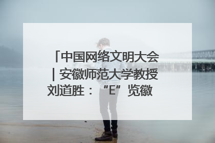 中国网络文明大会｜安徽师范大学教授刘道胜：“E”览徽风，构筑中华民族共有精神家园