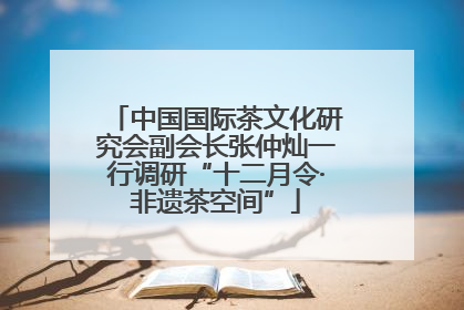 中国国际茶文化研究会副会长张仲灿一行调研“十二月令·非遗茶空间”