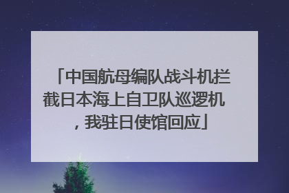 中国航母编队战斗机拦截日本海上自卫队巡逻机，我驻日使馆回应