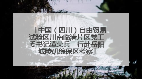 中国（四川）自由贸易试验区川南临港片区党工委书记谭荣兵一行赴岳阳城陵矶综保区考察