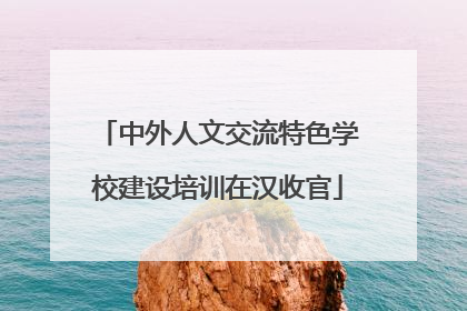 中外人文交流特色学校建设培训在汉收官