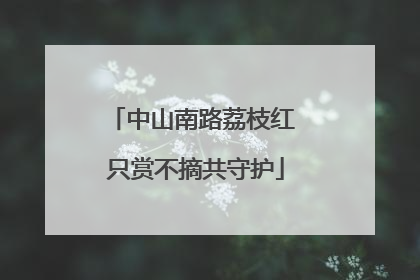中山南路荔枝红 只赏不摘共守护