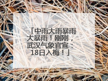 中雨大雨暴雨大暴雨！刚刚，武汉气象官宣：18日入梅！
