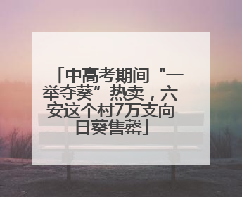 中高考期间“一举夺葵”热卖，六安这个村7万支向日葵售罄