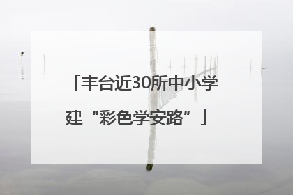 丰台近30所中小学建“彩色学安路”