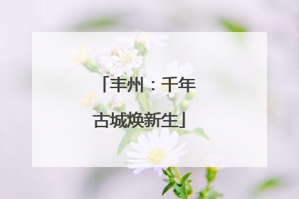 丰州：千年古城焕新生