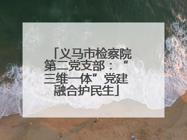 义马市检察院第二党支部：“三维一体”党建融合护民生