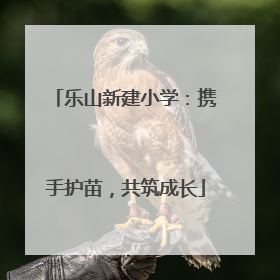乐山新建小学：携手护苗，共筑成长