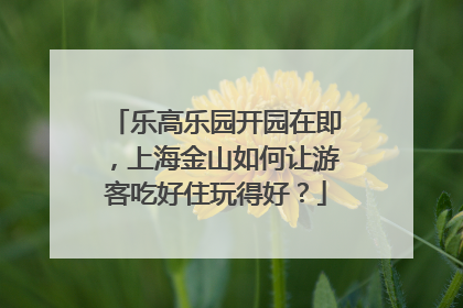 乐高乐园开园在即，上海金山如何让游客吃好住玩得好？