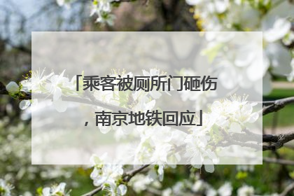 乘客被厕所门砸伤，南京地铁回应