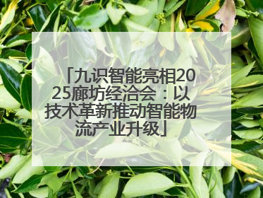九识智能亮相2025廊坊经洽会：以技术革新推动智能物流产业升级