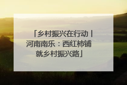 乡村振兴在行动丨河南南乐：西红柿铺就乡村振兴路