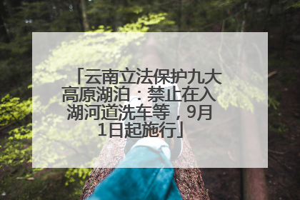 云南立法保护九大高原湖泊：禁止在入湖河道洗车等，9月1日起施行