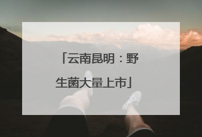 云南昆明：野生菌大量上市