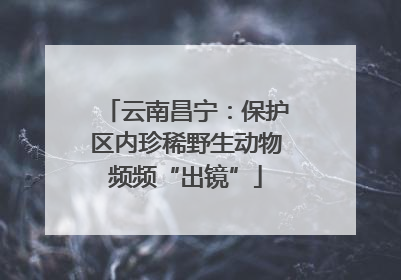 云南昌宁：保护区内珍稀野生动物频频“出镜”