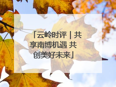 云岭时评｜共享南博机遇 共创美好未来