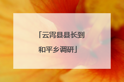 云霄县县长到和平乡调研