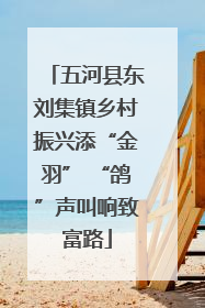 五河县东刘集镇乡村振兴添“金羽” “鸽”声叫响致富路