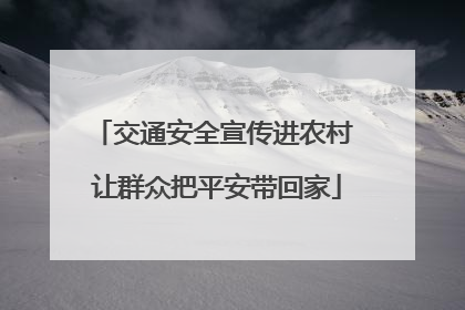 交通安全宣传进农村 让群众把平安带回家