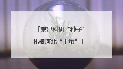 京津科研“种子”扎根河北“土壤”