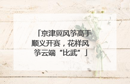 京津冀风筝高手顺义开赛，花样风筝云端“比武”