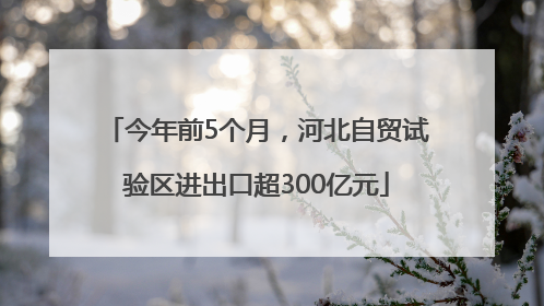 今年前5个月，河北自贸试验区进出口超300亿元