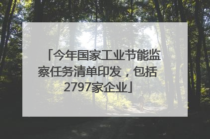 今年国家工业节能监察任务清单印发，包括2797家企业
