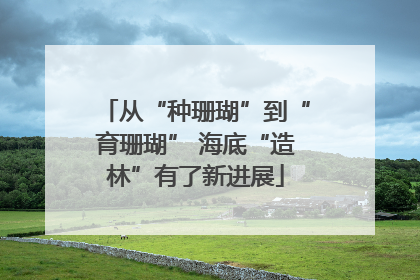 从“种珊瑚”到“育珊瑚” 海底“造林”有了新进展