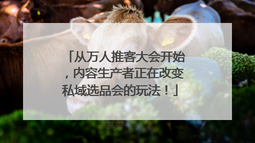 从万人推客大会开始，内容生产者正在改变私域选品会的玩法！