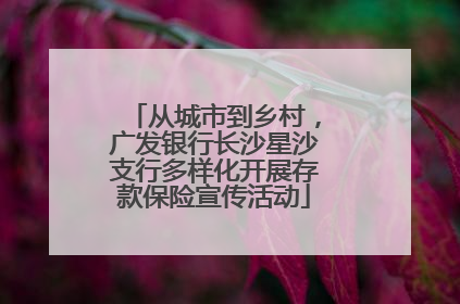 从城市到乡村，广发银行长沙星沙支行多样化开展存款保险宣传活动