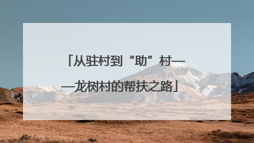 从驻村到“助”村——龙树村的帮扶之路