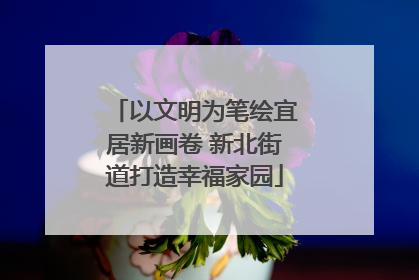 以文明为笔绘宜居新画卷 新北街道打造幸福家园
