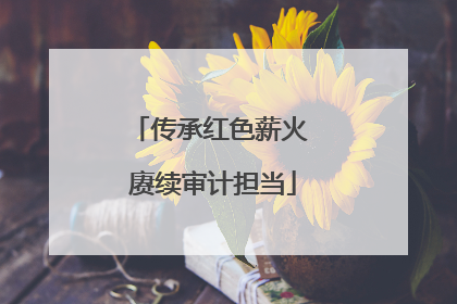 传承红色薪火 赓续审计担当