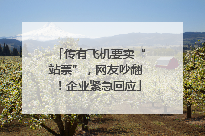 传有飞机要卖“站票”，网友吵翻！企业紧急回应