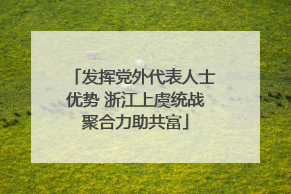 发挥党外代表人士优势 浙江上虞统战聚合力助共富