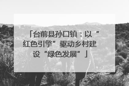 台前县孙口镇：以“红色引擎”驱动乡村建设“绿色发展”