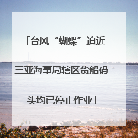 台风“蝴蝶”迫近 三亚海事局辖区货船码头均已停止作业