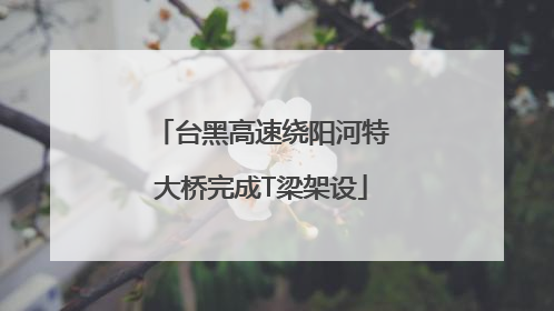 台黑高速绕阳河特大桥完成T梁架设