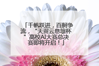 千帆跃进，百舸争流，“天翼云息壤杯”高校AI大赛总决赛即将开启！