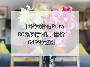 华为发布Pura80系列手机，售价6499元起