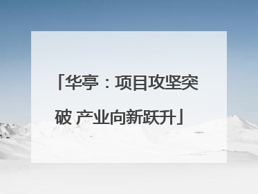华亭：项目攻坚突破 产业向新跃升