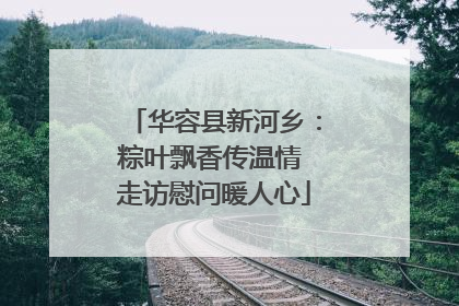 华容县新河乡：粽叶飘香传温情 走访慰问暖人心