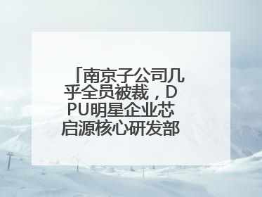 南京子公司几乎全员被裁，DPU明星企业芯启源核心研发部门已人去楼空