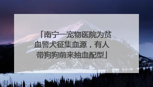 南宁一宠物医院为贫血警犬征集血源，有人带狗狗前来抽血配型